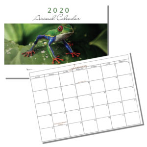 Calendar – Animals