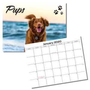 Calendar – Pups