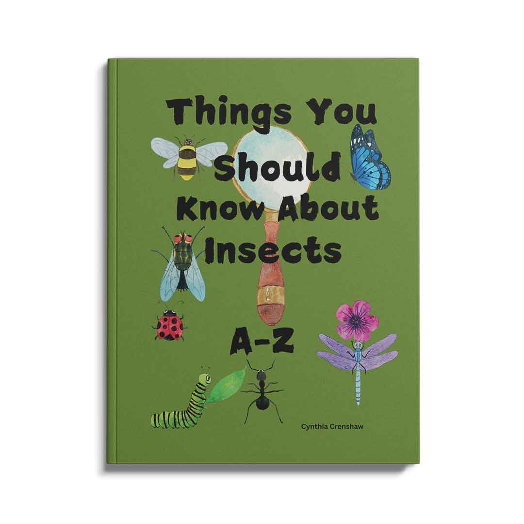 Things You Should Know About Insects