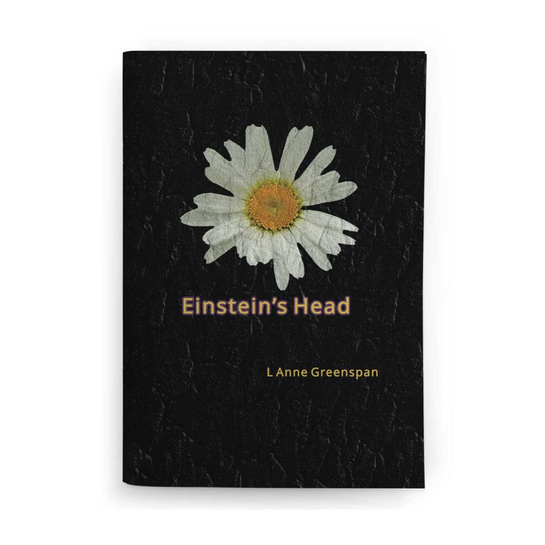 einsteins-head_booknook-cover